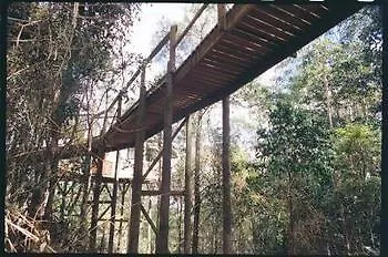 Lyola Pavilions In The Forest Villa Maleny